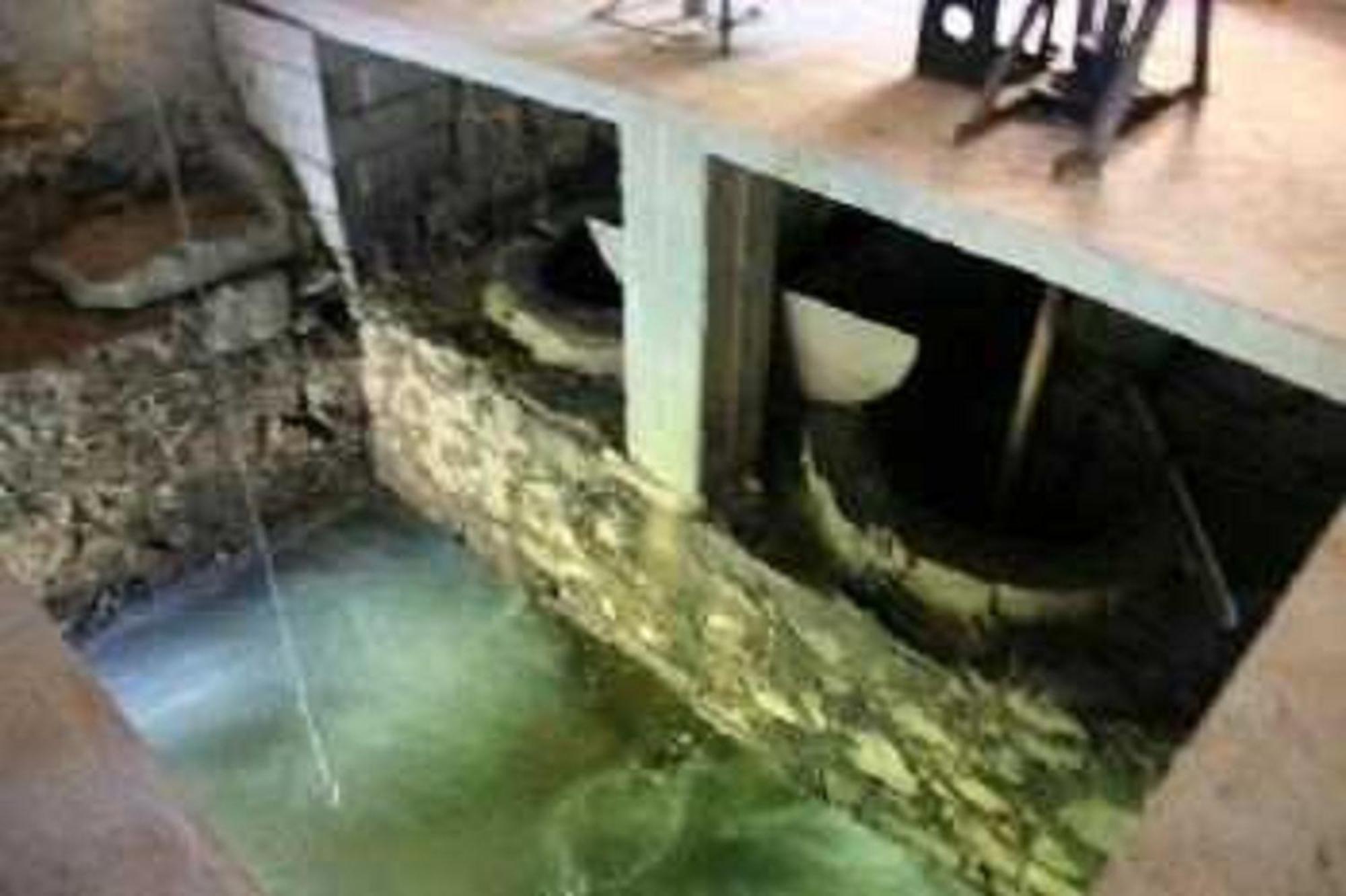 Chambre D'Hotes Moulin Urketa Ayherre Kültér fotó